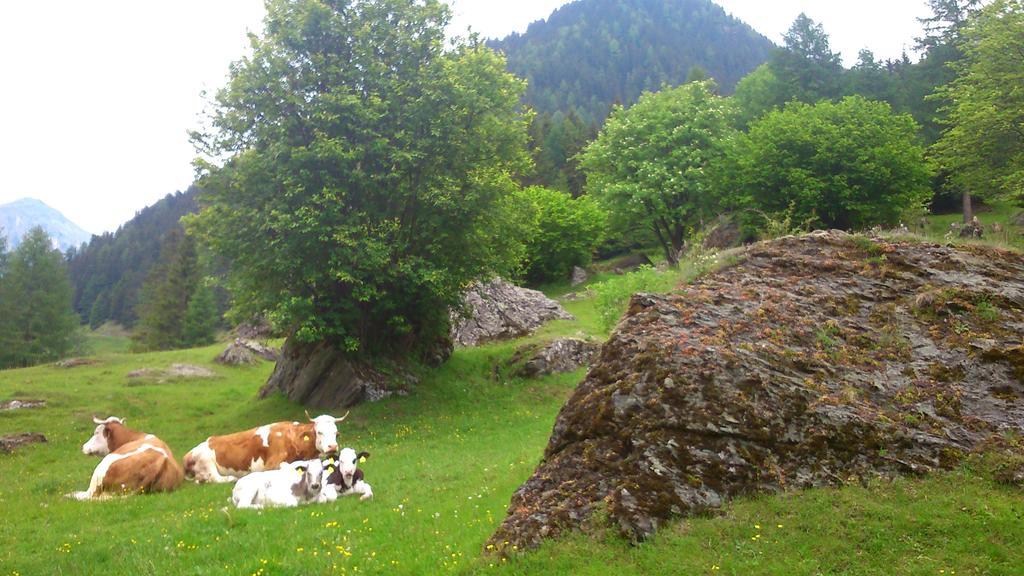 Pension Siegelbrunn B&B Mallnitz Rum bild